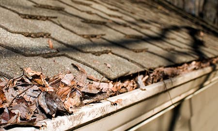 Gutter cleaning